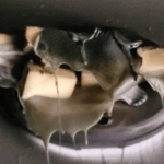 Melted Big Mouth Billy Bass Survives Fire, Still Sings ‘I Will Survive’—And It’s Creepy