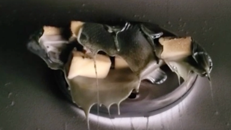 Melted Big Mouth Billy Bass Survives Fire, Still Sings ‘I Will Survive’—And It’s Creepy