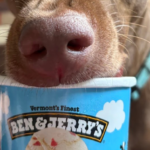 The First Week on Wegovy: What I’m Noticing