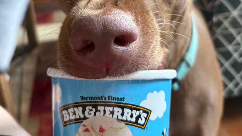 The First Week on Wegovy: What I’m Noticing